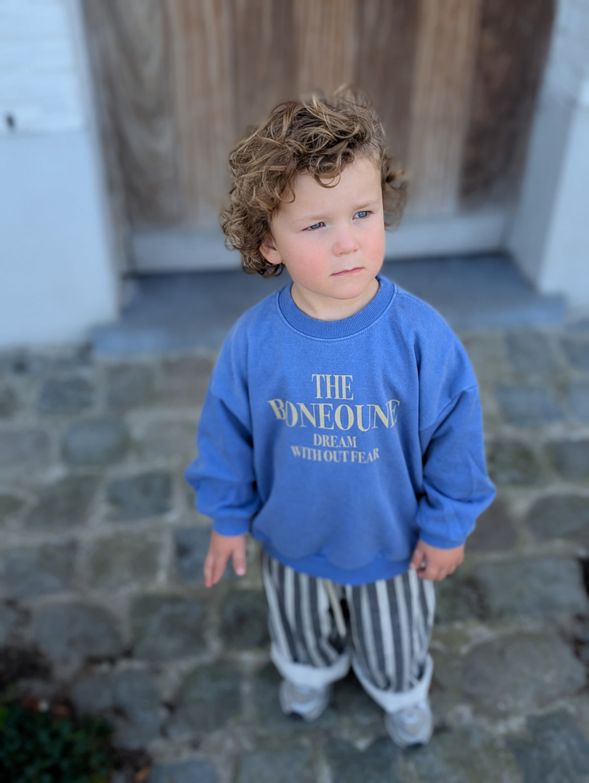 Dream pigment sweatshirt blue