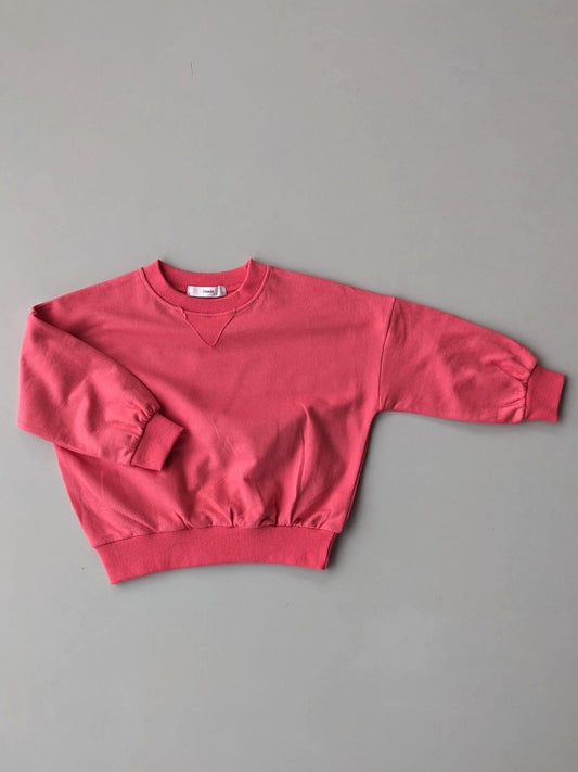 Sweater coral
