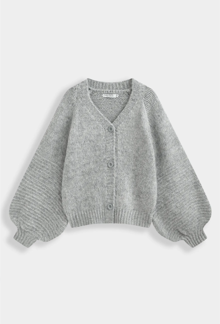 Gilet grey