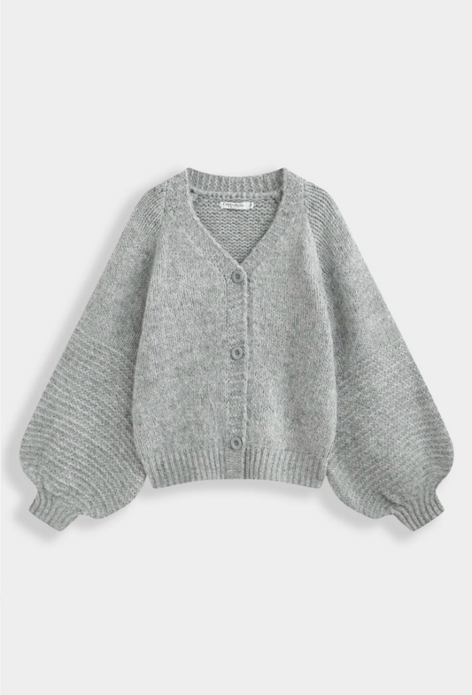 Gilet grey