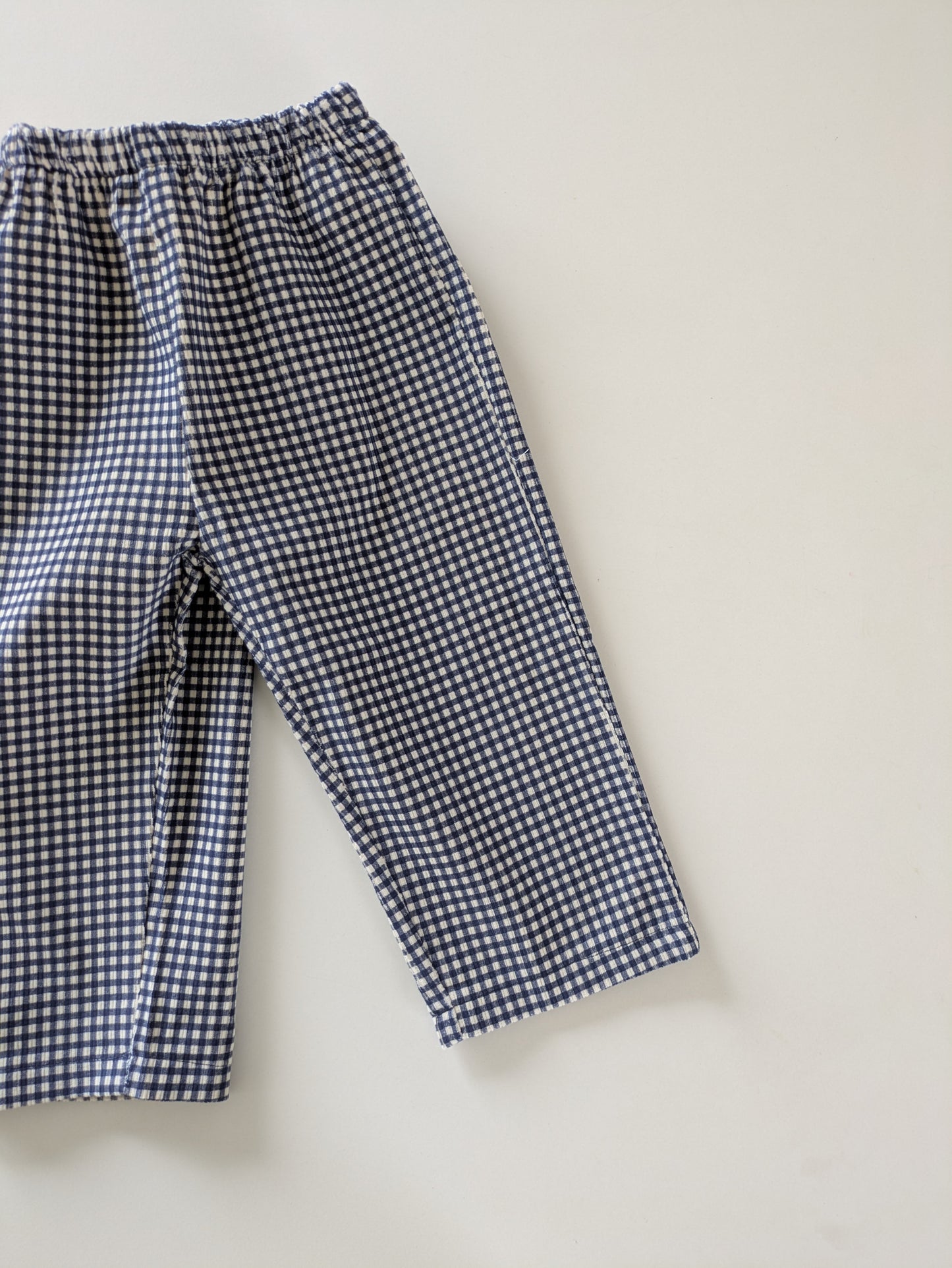 Check corduroy pants blue