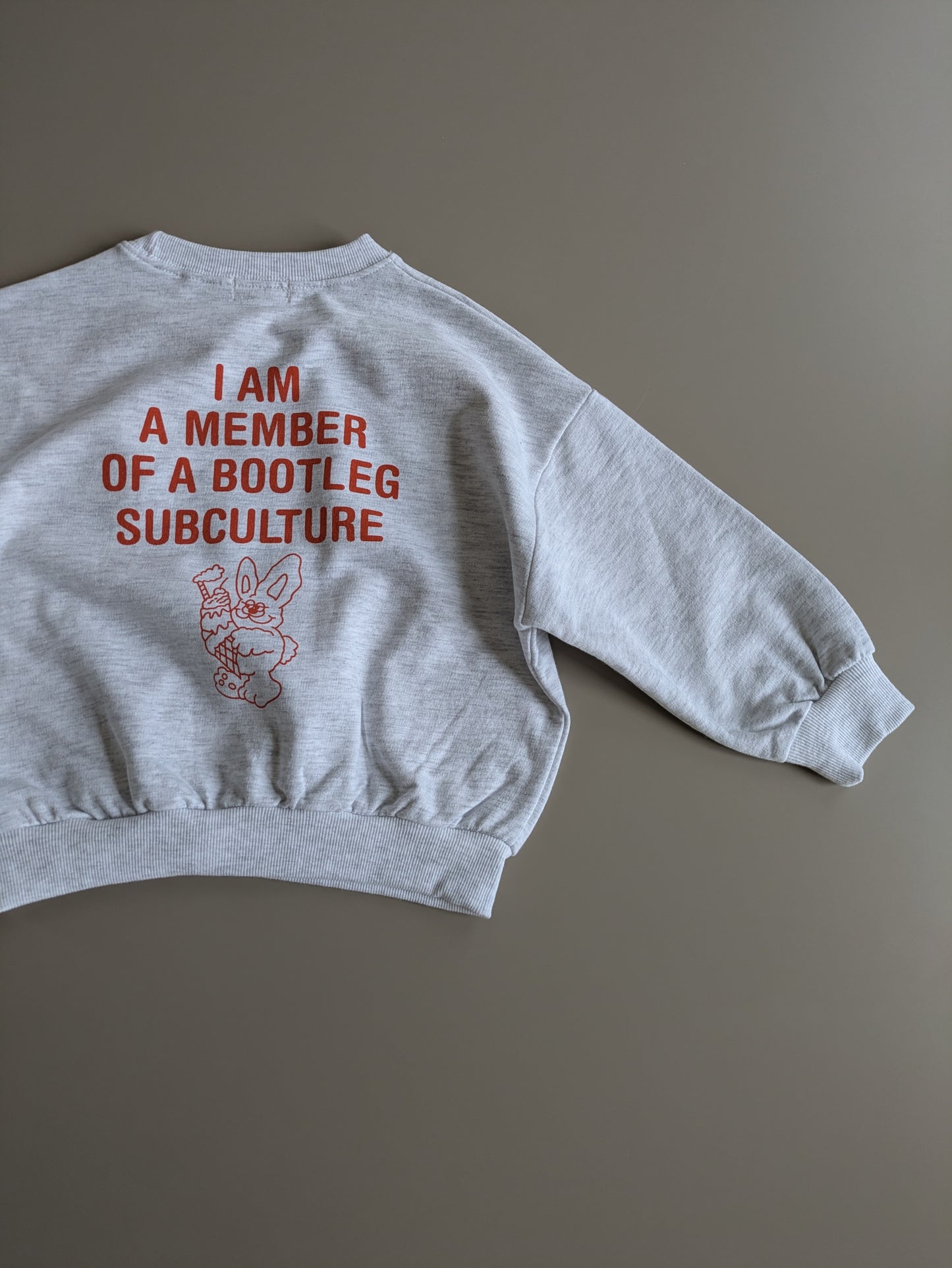 Rabbit sweatshirt