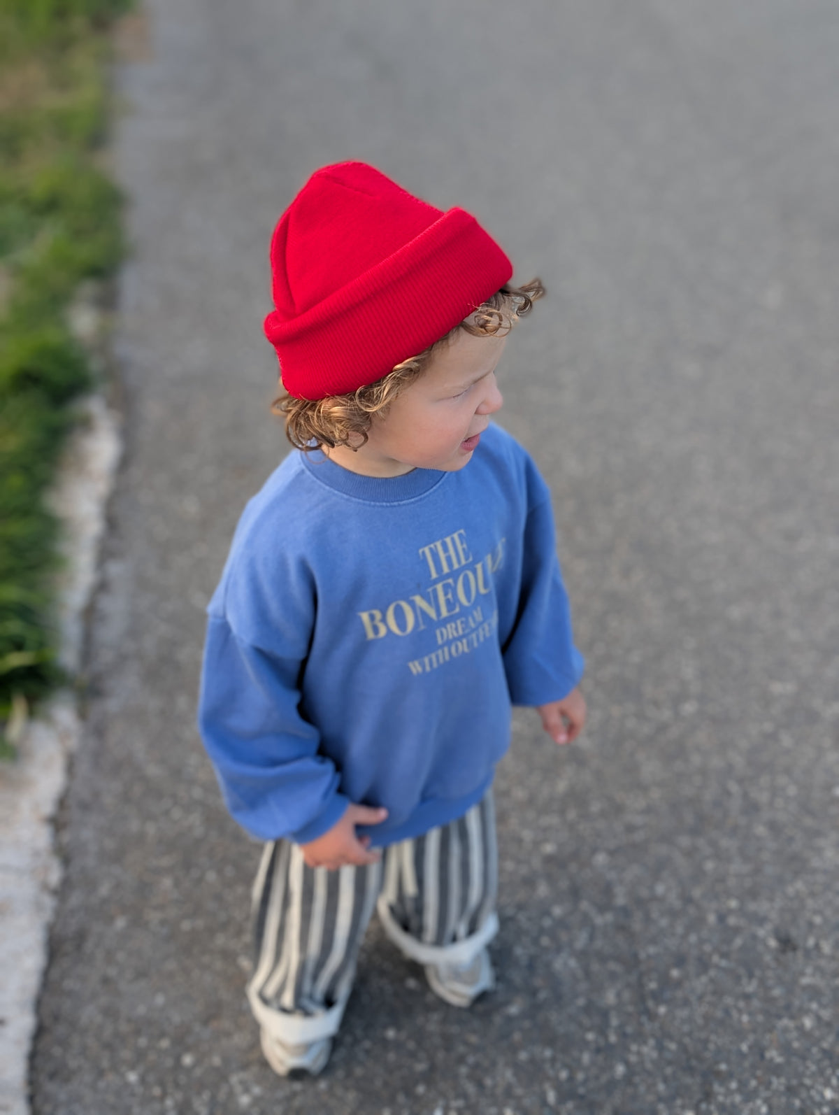 Dream pigment sweatshirt blue
